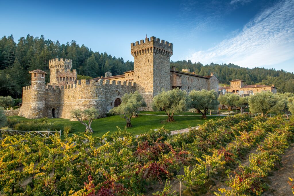 Castle Vineyards